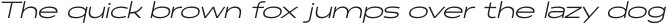 Polarix Light Italic otf (300)