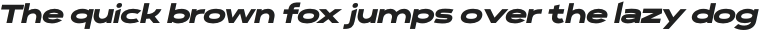 Polarix Extrablack Italic otf (900)