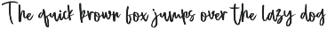 Amstrong - Handwritten Brush Script preview
