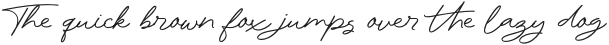 Rhetorical Flourish  Regular otf (400)