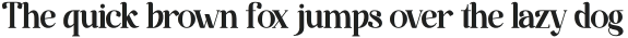 Javiraw otf (400)