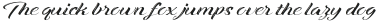 Xandra Script Decor otf (400)