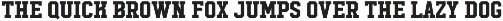 Hudson NY - Slab font preview