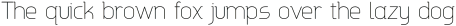 Aldin Thin otf (100)
