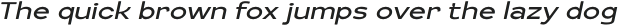 Kagins Italic Semi Expanded otf (400)