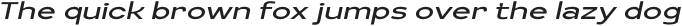 Kagins Italic Expanded otf (400)