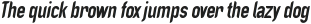 Italic condensed ttf (400)