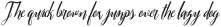 Magnum ttf (400)