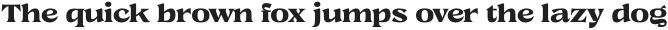 Caleit Medium otf (500)