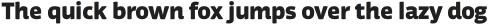 Respublika FY Black otf (900)
