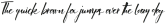 King Size Shadow otf (400)