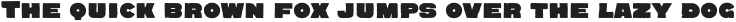 Quadrat Grotesk Black otf (900)
