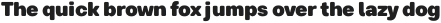 Breul Grotesk B Black otf (900)