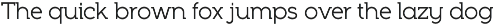 Full Neue preview
