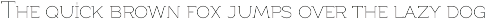 Full Neue preview