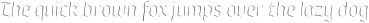Whisky Fill 1450 Italic otf (400)
