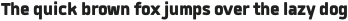 Quan Hairline Oblique otf (100)