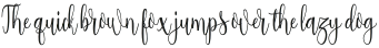 Salwa Script otf (400)