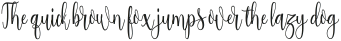 Salwa Script ttf (400)