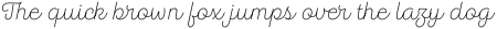 Hogar Script Light otf (300)