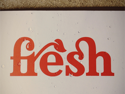 fresh-logo-dribbble