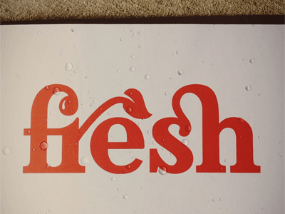 fresh-logo-dribbble