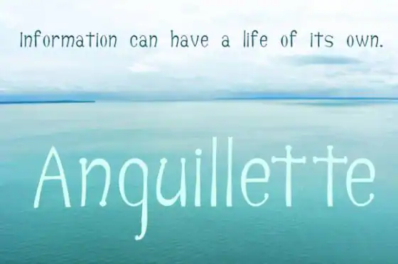 anguillette_cm-f