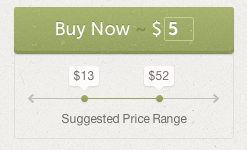 Price Point Maximizer
