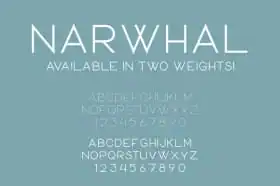 narwhal_cmpromo-f