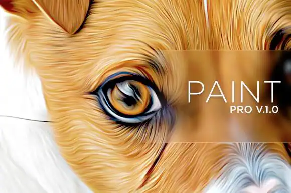 Paint Pro by ozonostudio