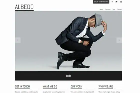 albedo-wordpress-theme-f