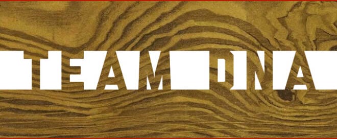Team DNA: Discovering How & Why We Work