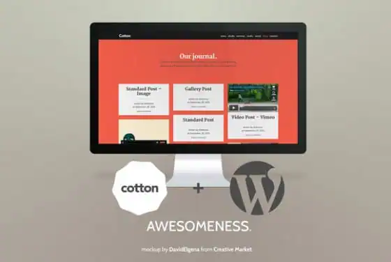 cotton-promo-blog-f