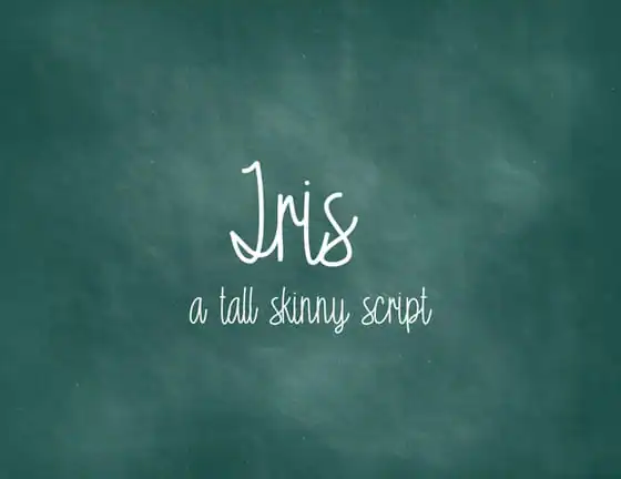 10 Script Fonts For 2013 - Creative Market Blog