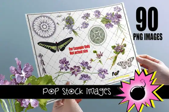 violets-are-blue-promo2-f
