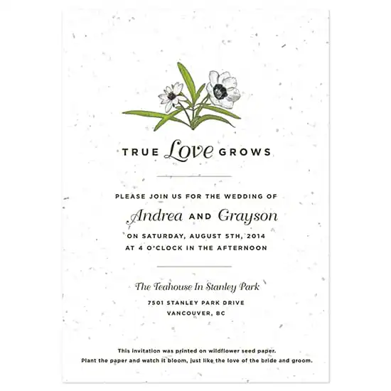 catalog_product_image_1000