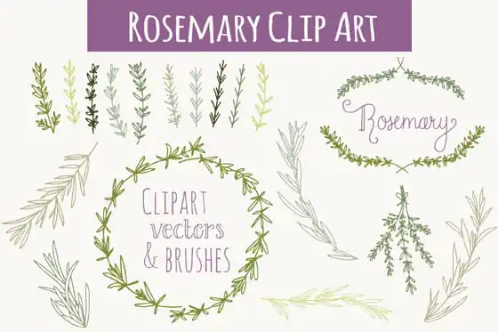 community-update-rosemary