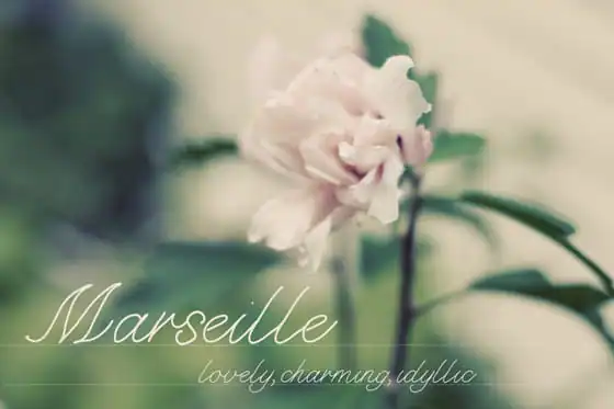community-update-marseille