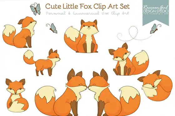 community-update-foxes