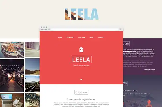 community-update-leela