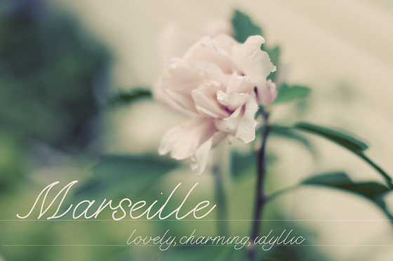 community-update-marseille