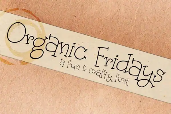 organic-fridays-fr