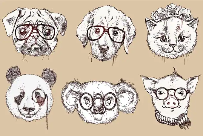 community-update-hipsteranimals