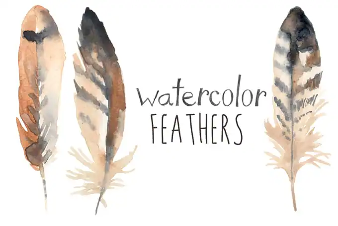 community-update-feathers