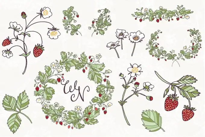community-update-strawberry