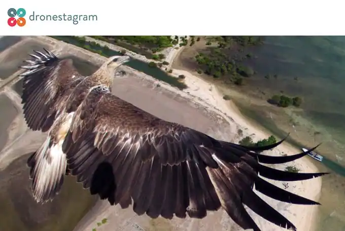 designnews-dronestragram
