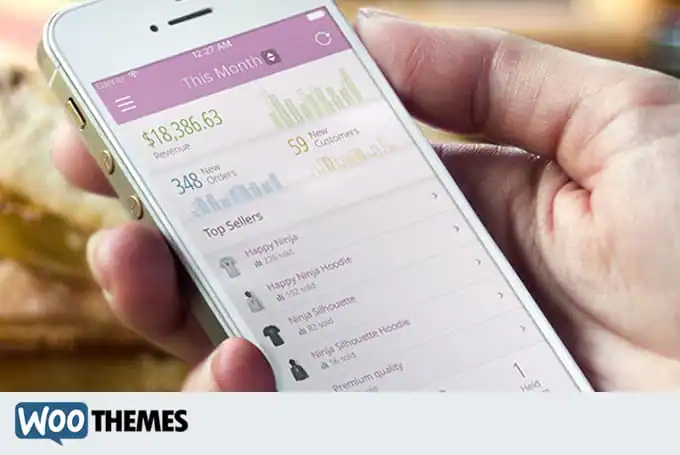 designnews-woothemes
