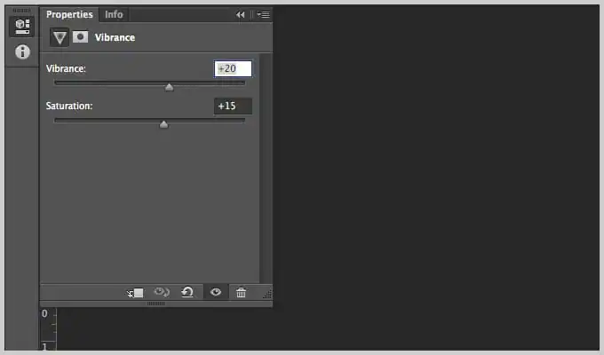 Vibrance Adjustment Layer in Photoshop