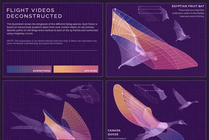 designnews-scienceinfographics