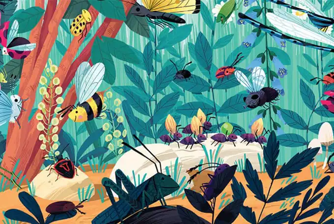 designnews-illustrator